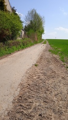 Radweg Donop Richtung Grossenmarpe
